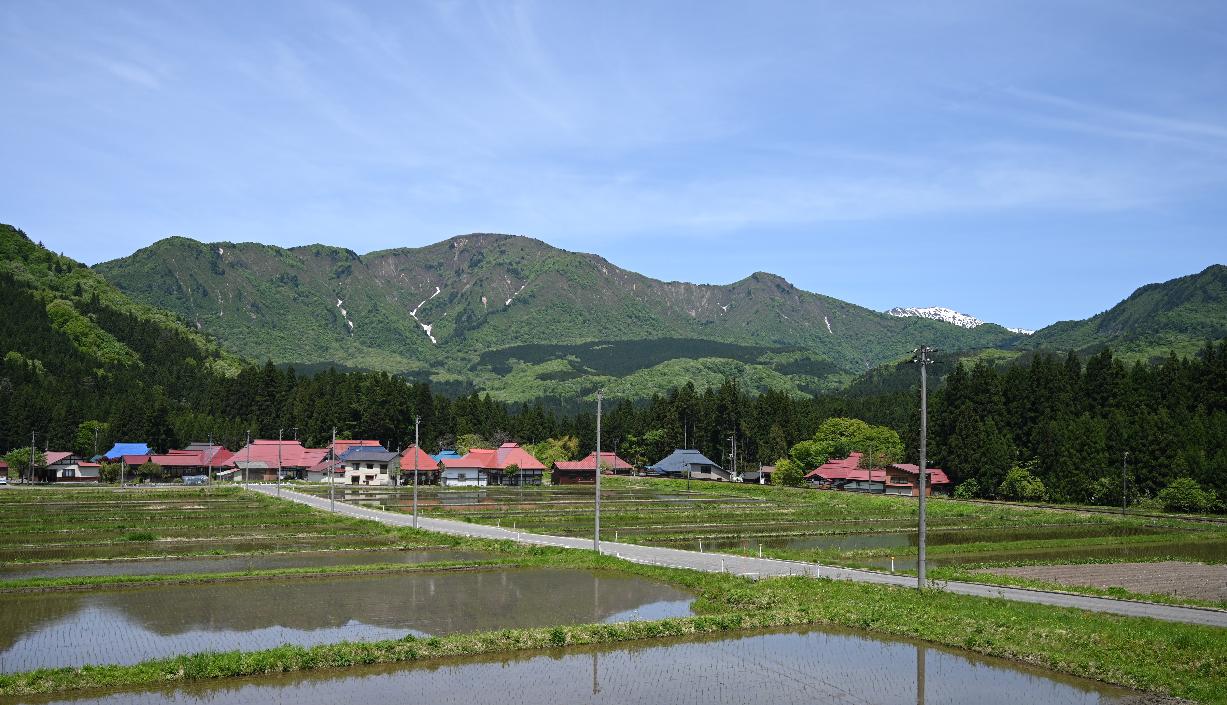 阿賀町の春の田園風景