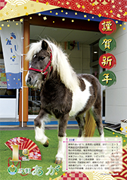 広報あが1月号表紙