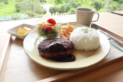 道の駅みかわハンバーグ