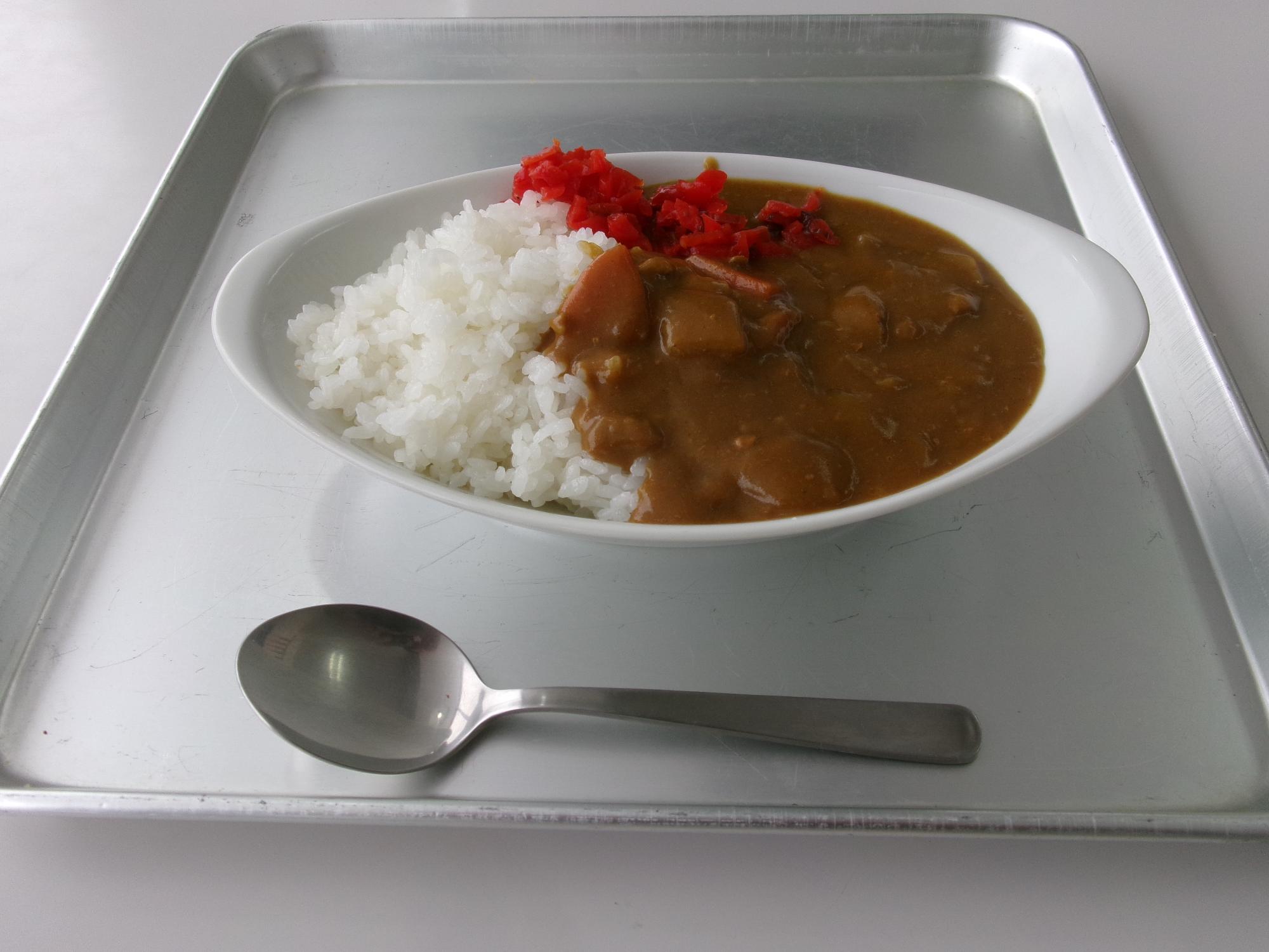 レギュラーカレーの写真