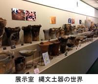 壁の奥まで2段に縄文土器が並べて設置されている考古展示室の室内の写真