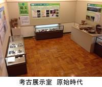 左右と奥に展示品が並んだガラス張りのショーケースが設置されている考古展示室の室内の写真