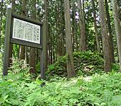 杉林の間に一里塚があり左手前に木製の立て看板が設置されている写真
