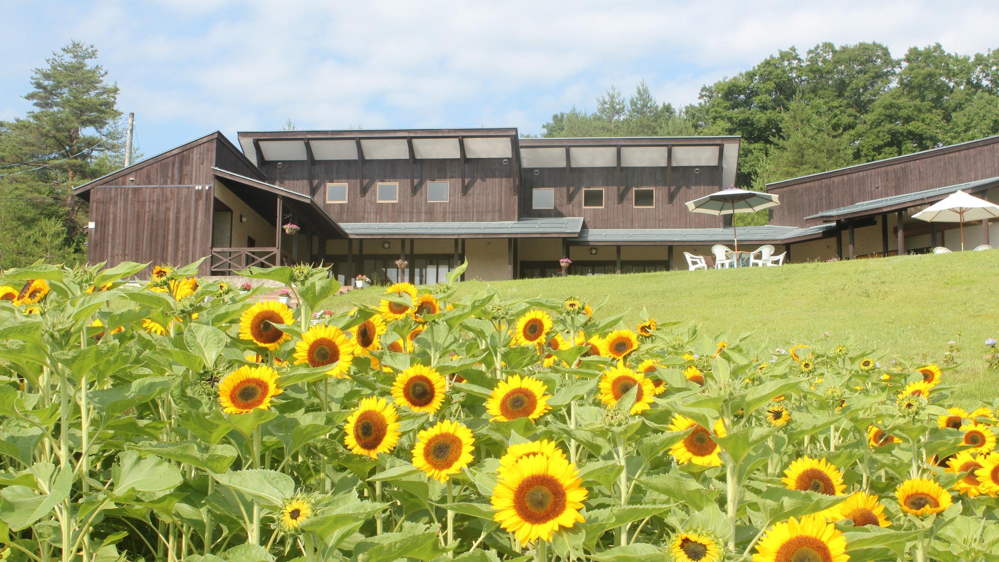 阿賀町の夏