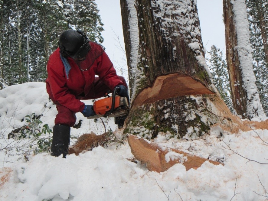地域おこし協力隊（林業部門）