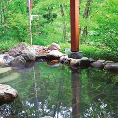 石で囲われた透明な水に周りの緑の木々が反射している透明感のある写真